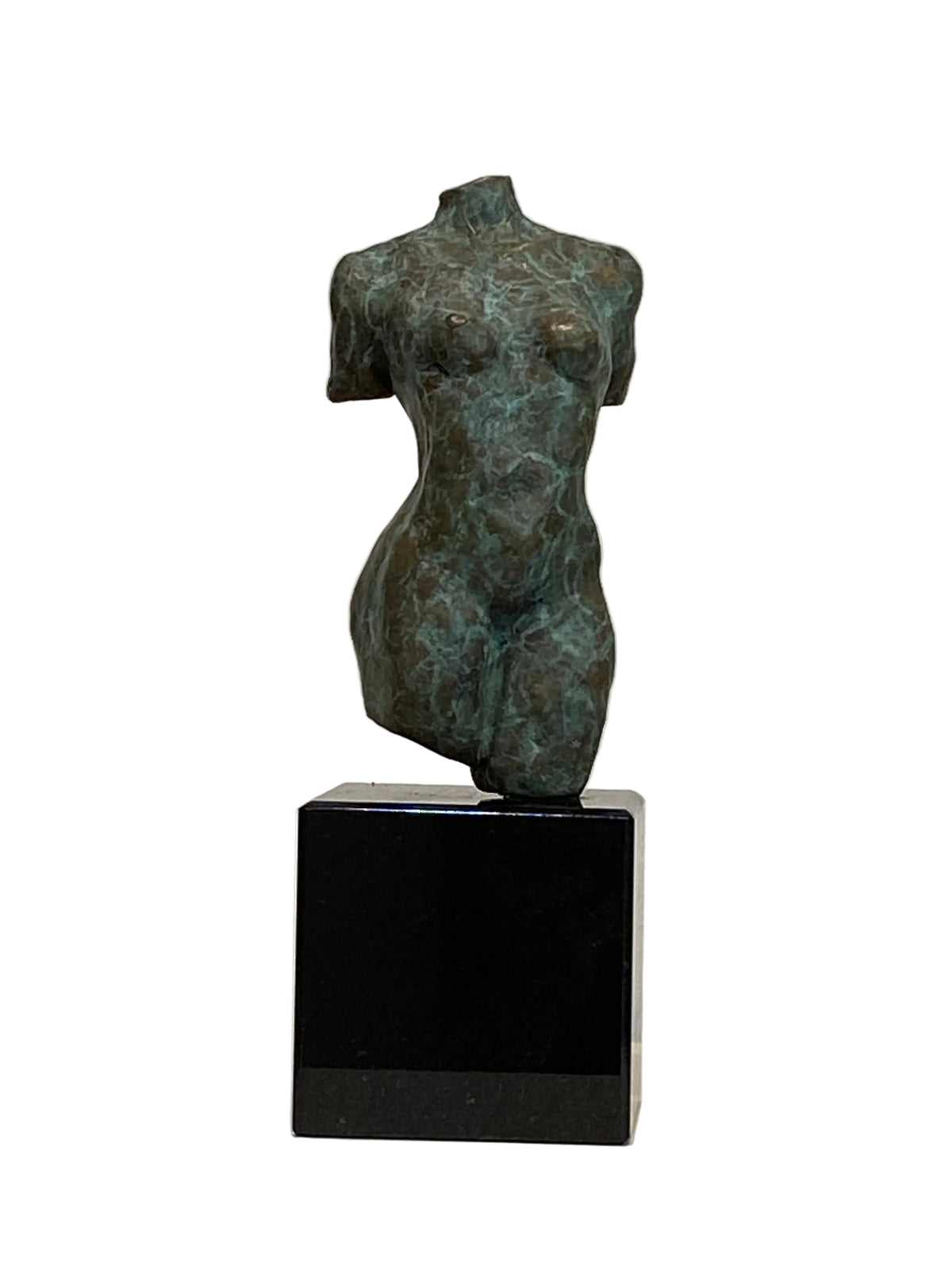 Petite Torso