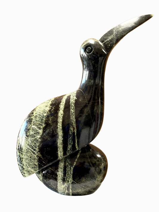 Resting Hornbill
