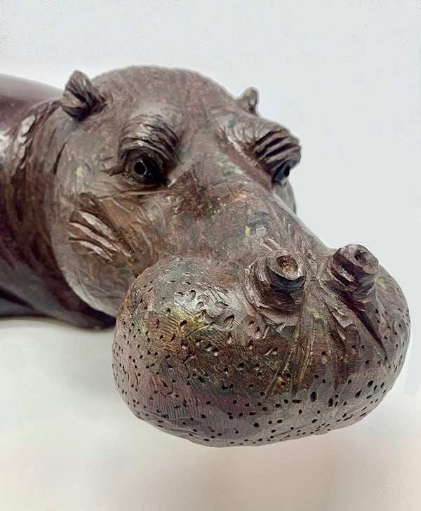 Resting Hippo #1