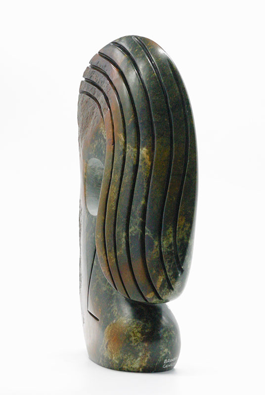 Looking into my Dreams