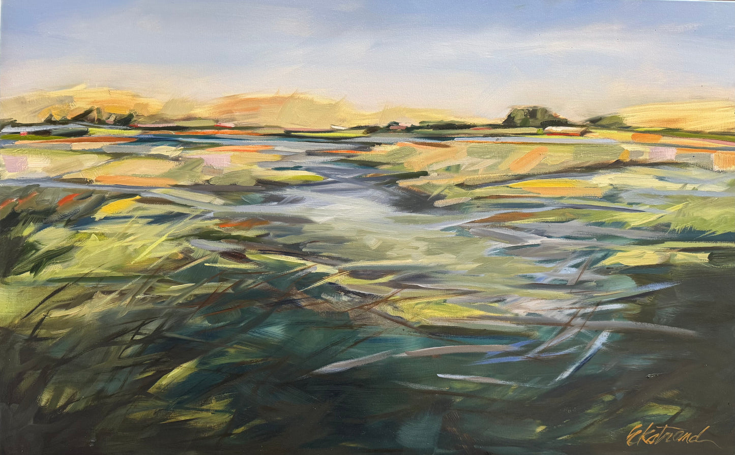 A Braided River