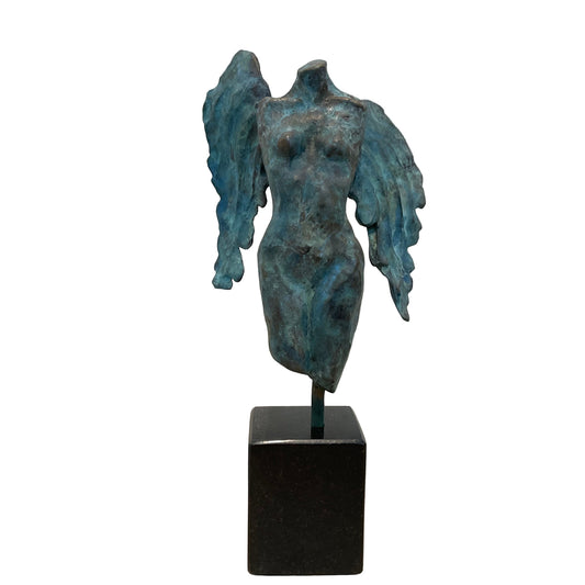 Evolving Angel