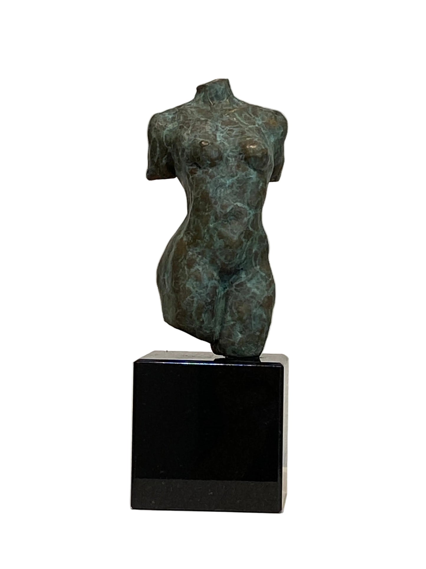 Petite Torso