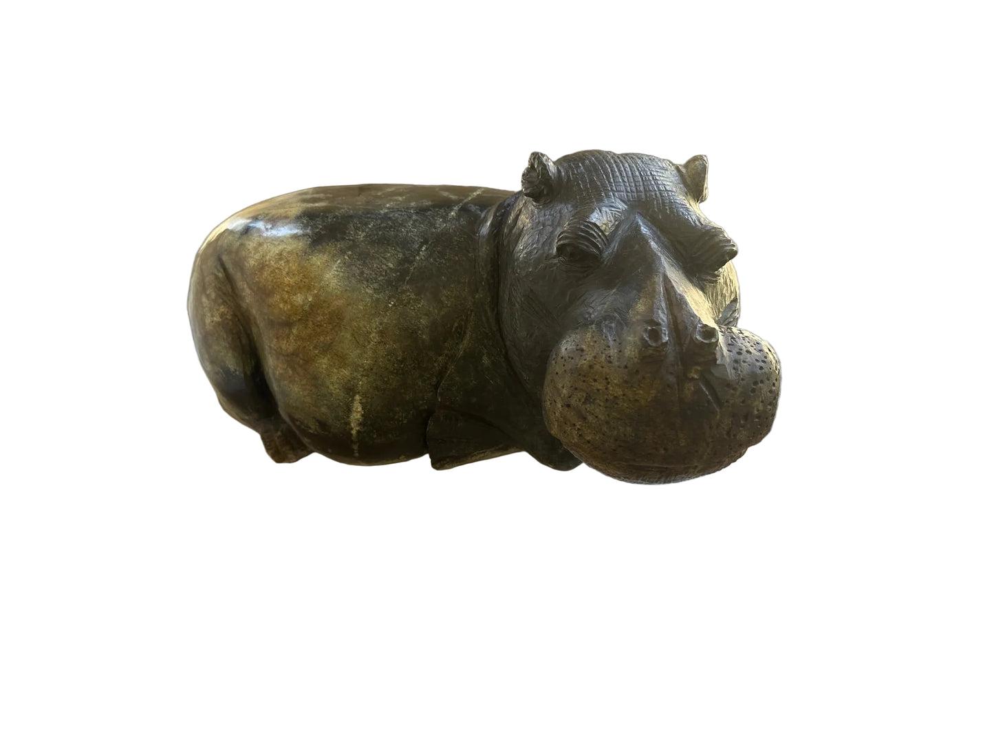 Resting Hippo