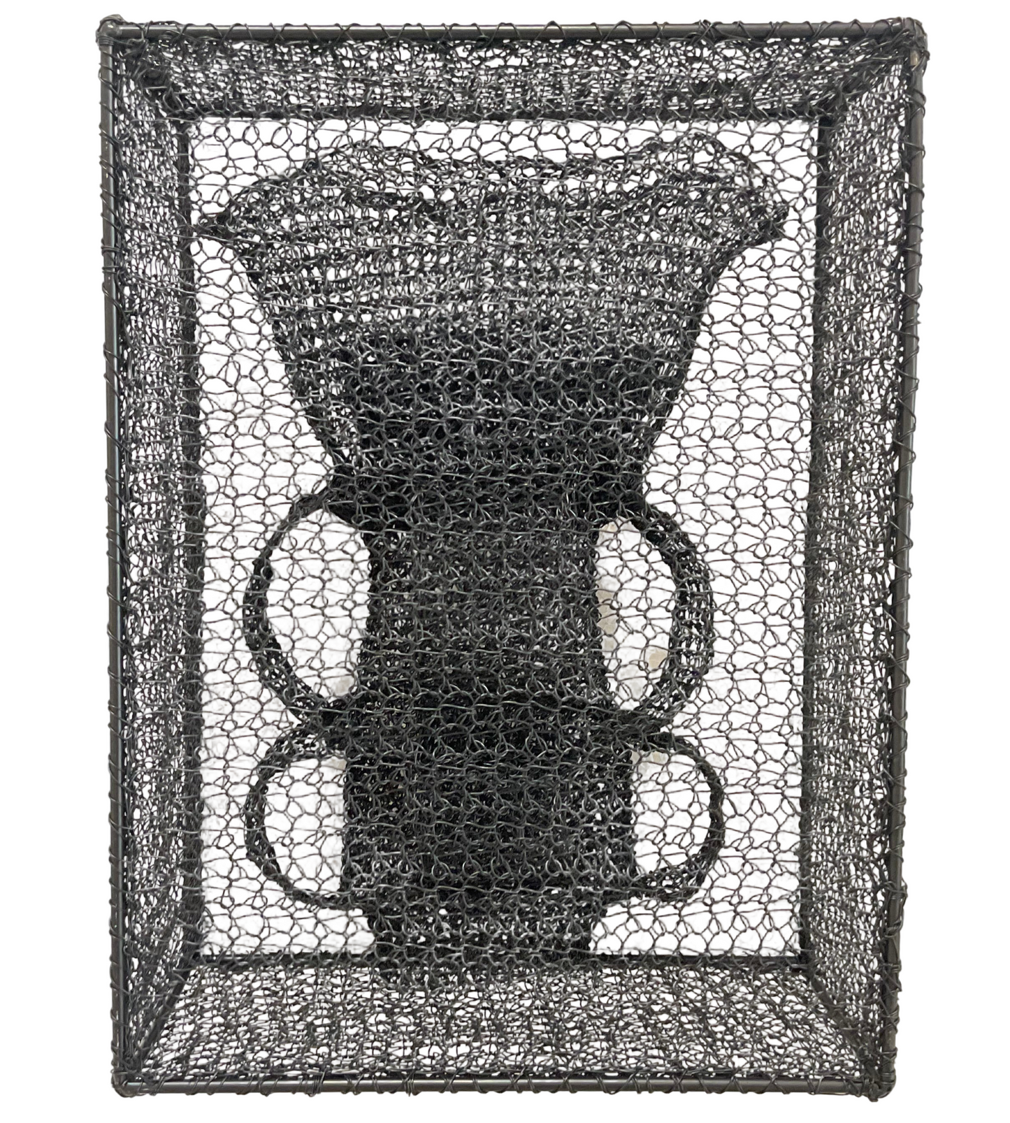 Shadow Box 25-2