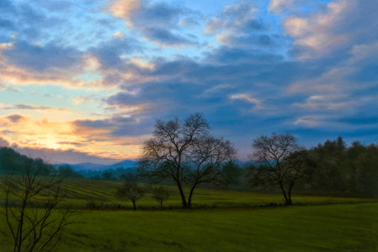 Sunset, New Green Fields